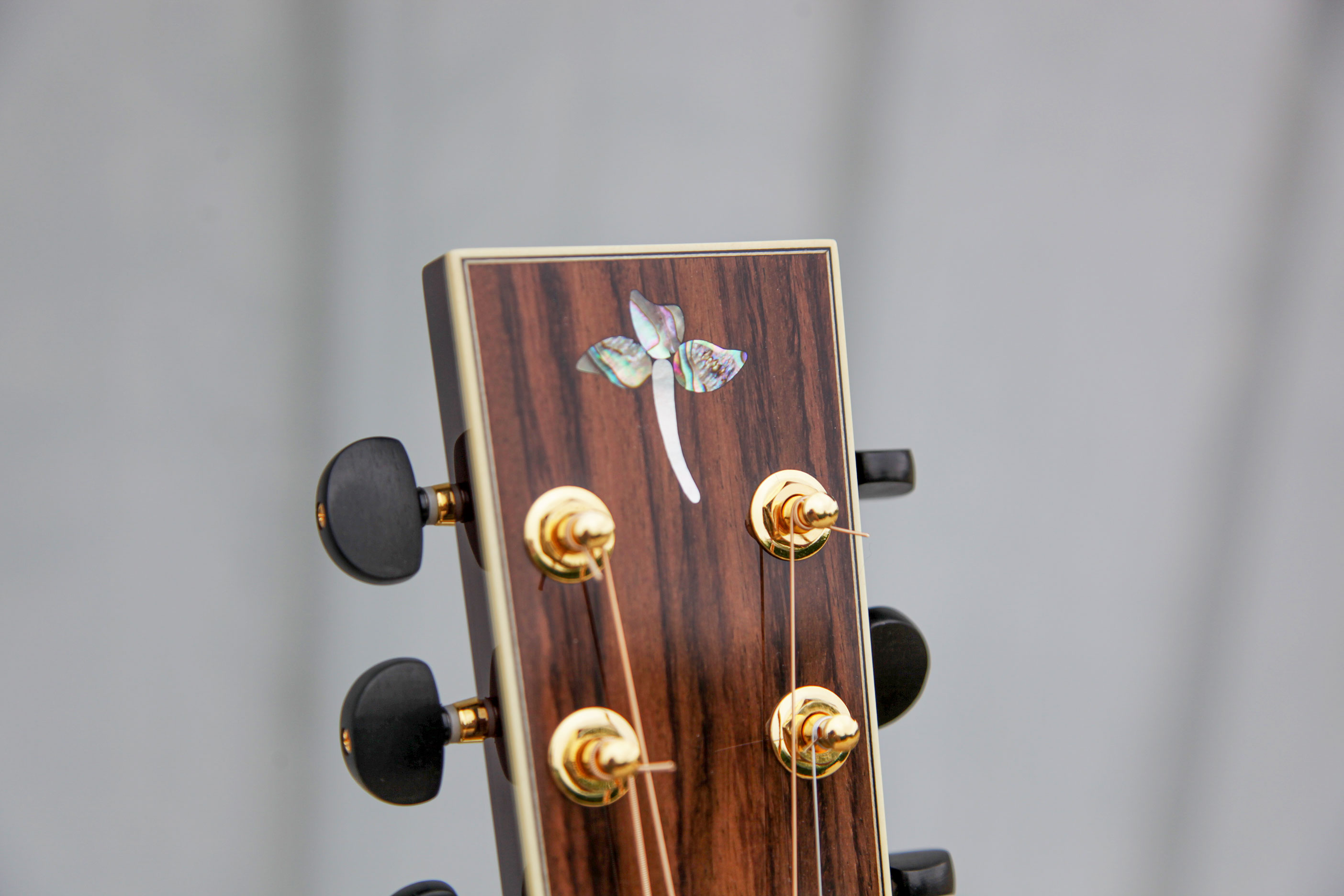 Dreadnought 13-Fret